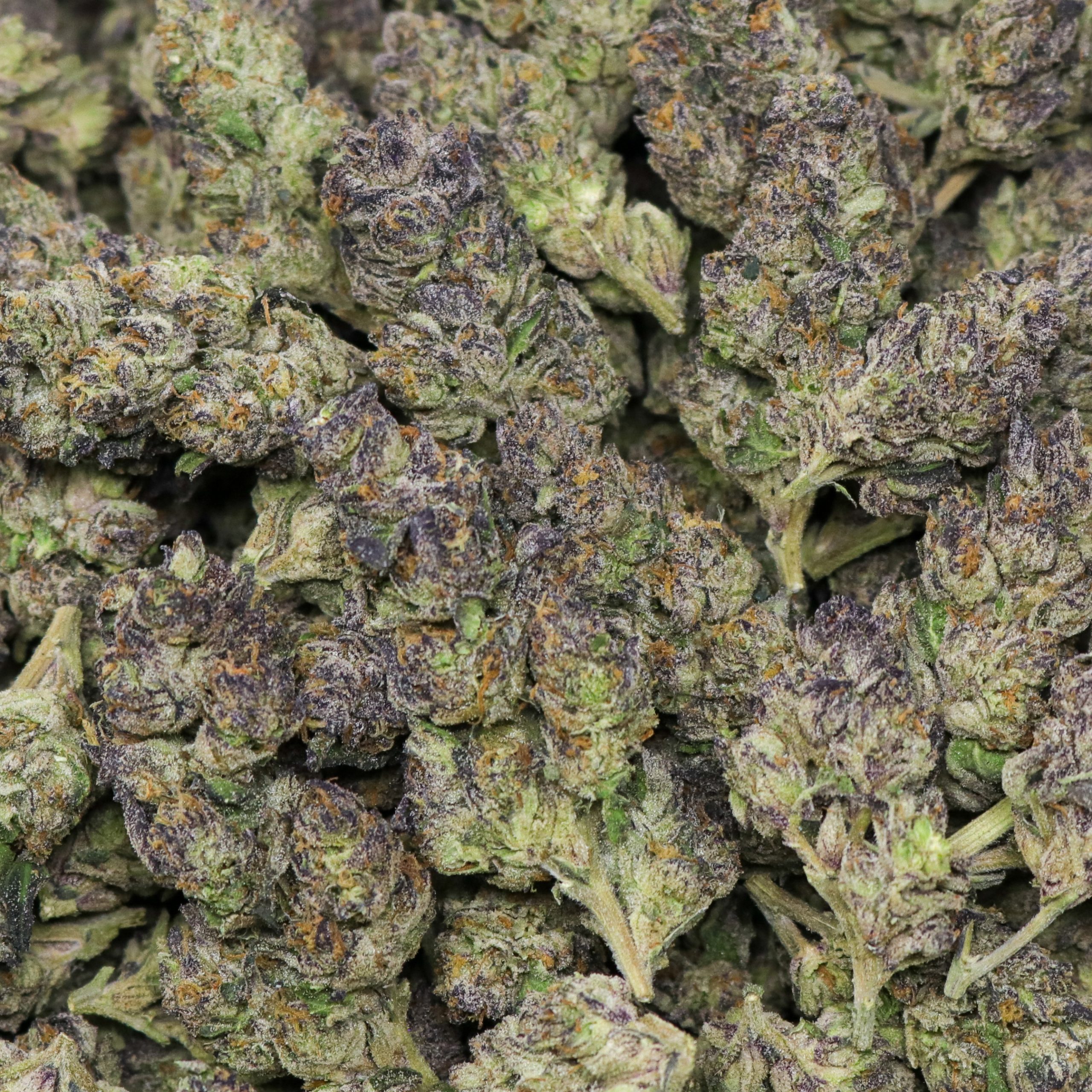 Peek a Boo - Image 2