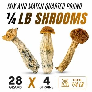 1/4LB Mix And Match Dried Shrooms