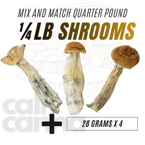 1/4LB Mix And Match Dried Shrooms
