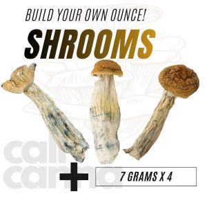 Build Your Own Ounce Dried Shrooms