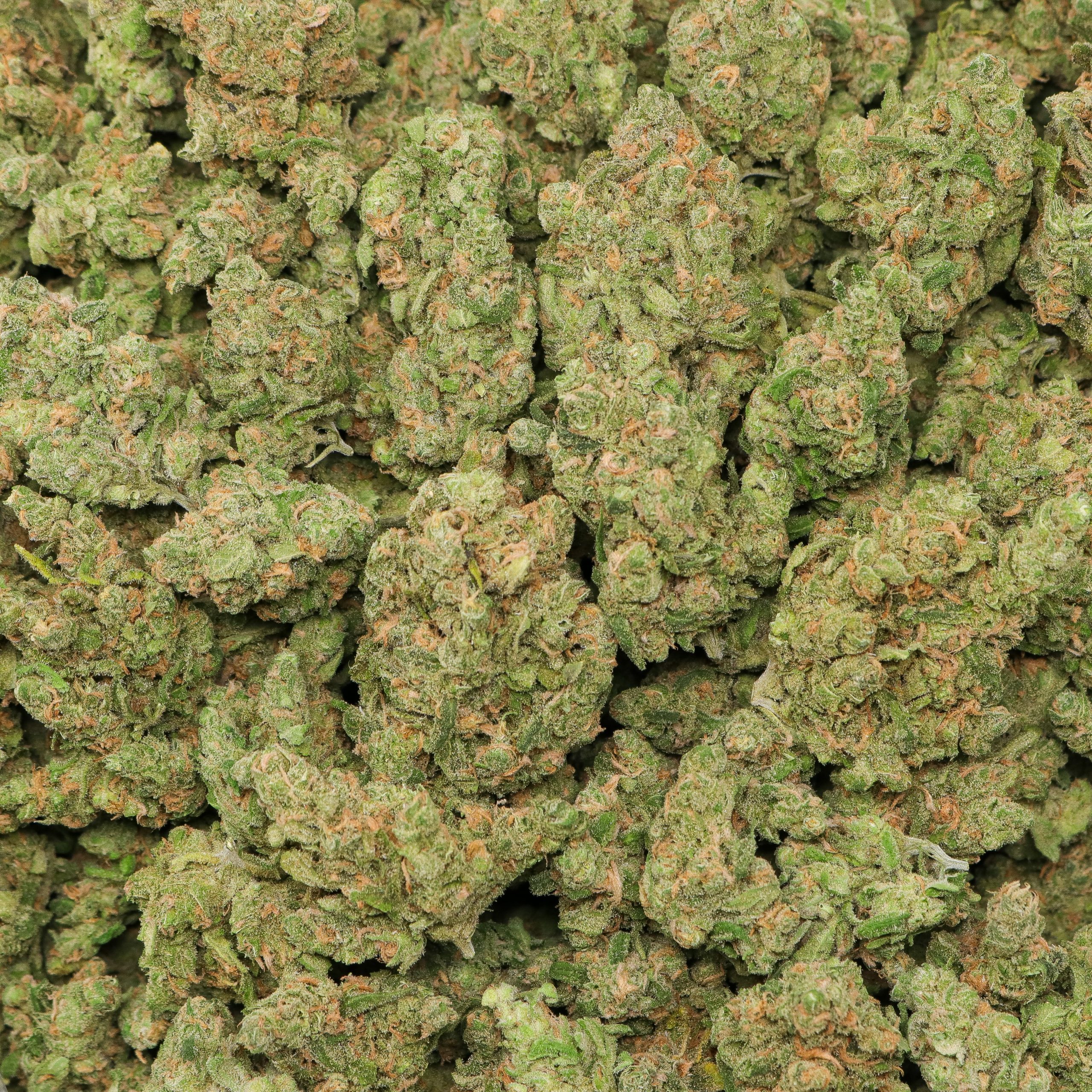 Blue Dream - Image 2