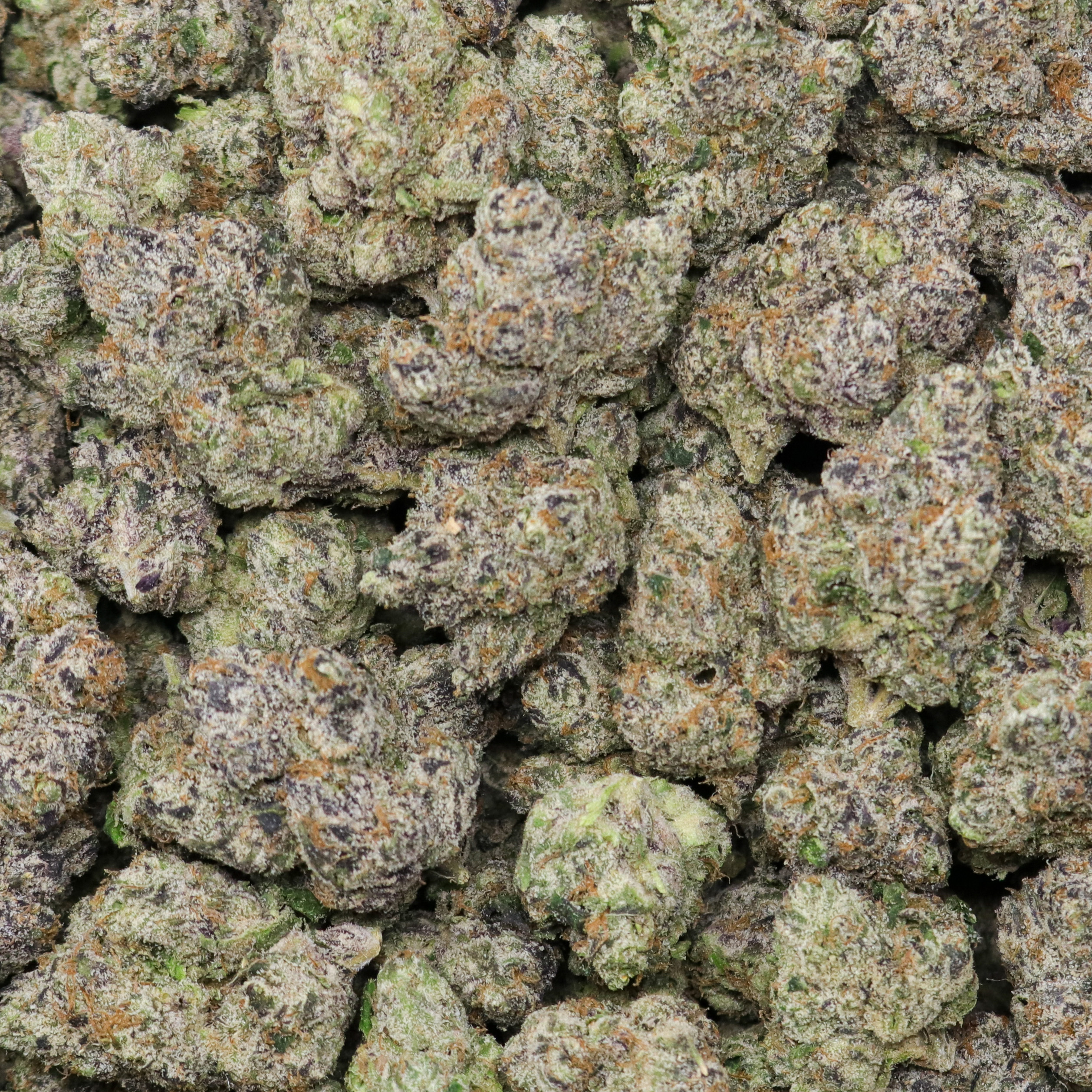 Exotic Lemon Cherry Gelato - Image 2