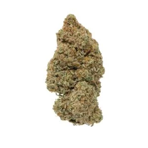 Gorilla Glue 4