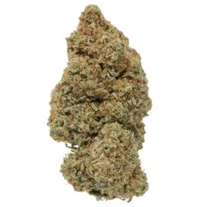 Gorilla Glue 4