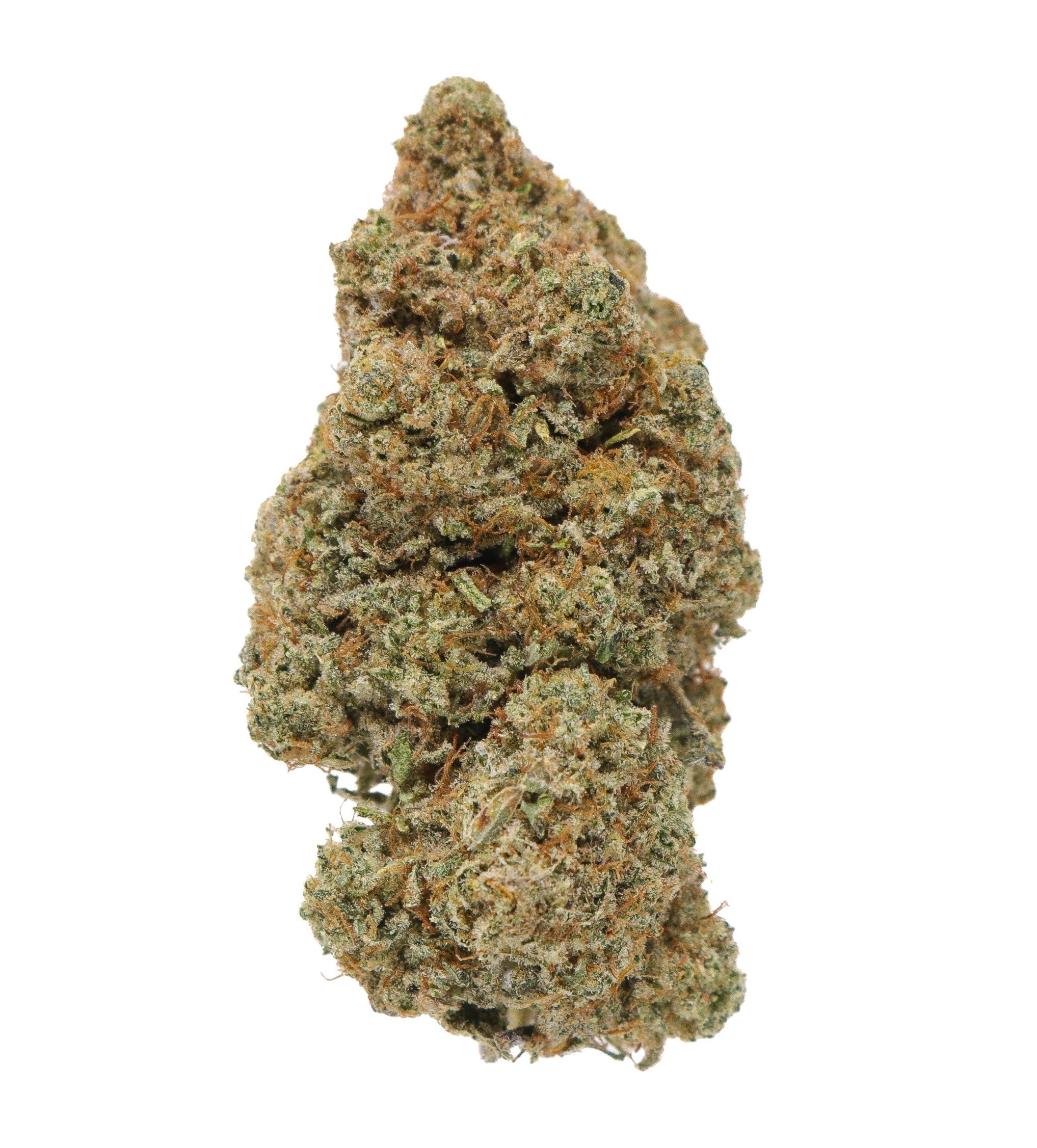 Gorilla Glue 4