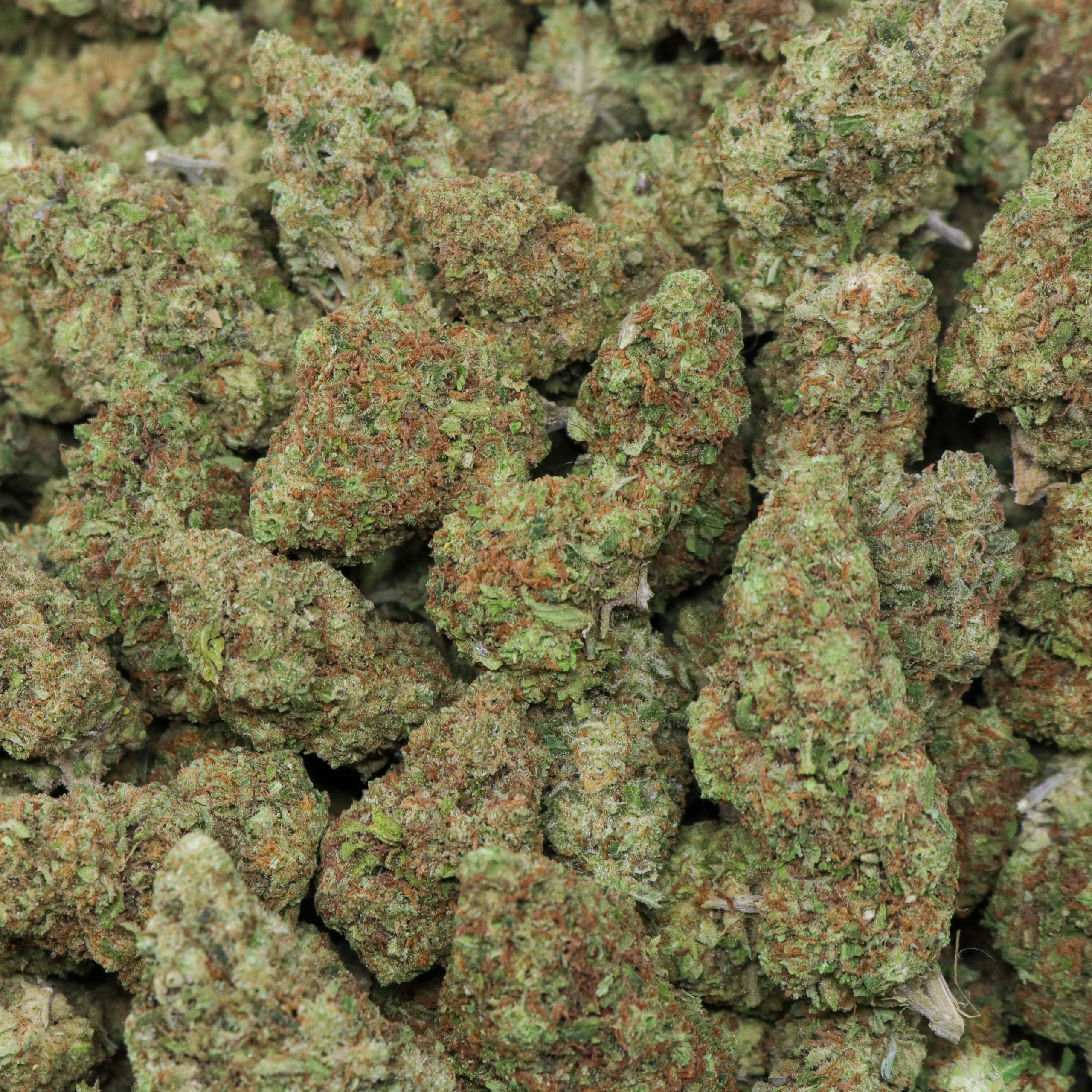 Mango Crack - Image 2