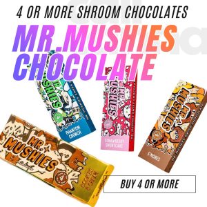 Mr Mushies Chocolate Mix and Match