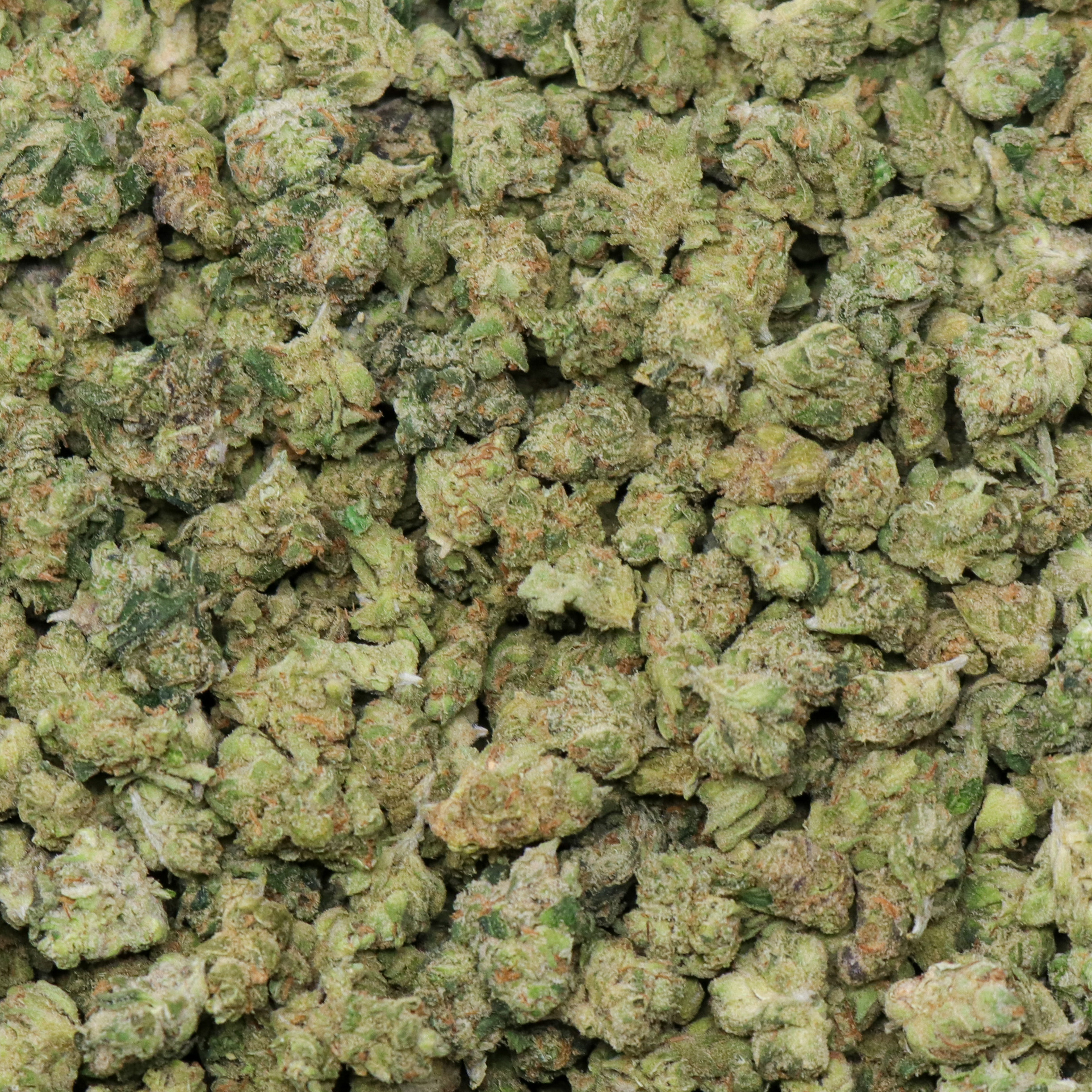 Exotic Super Lemon Haze Smalls - Image 2