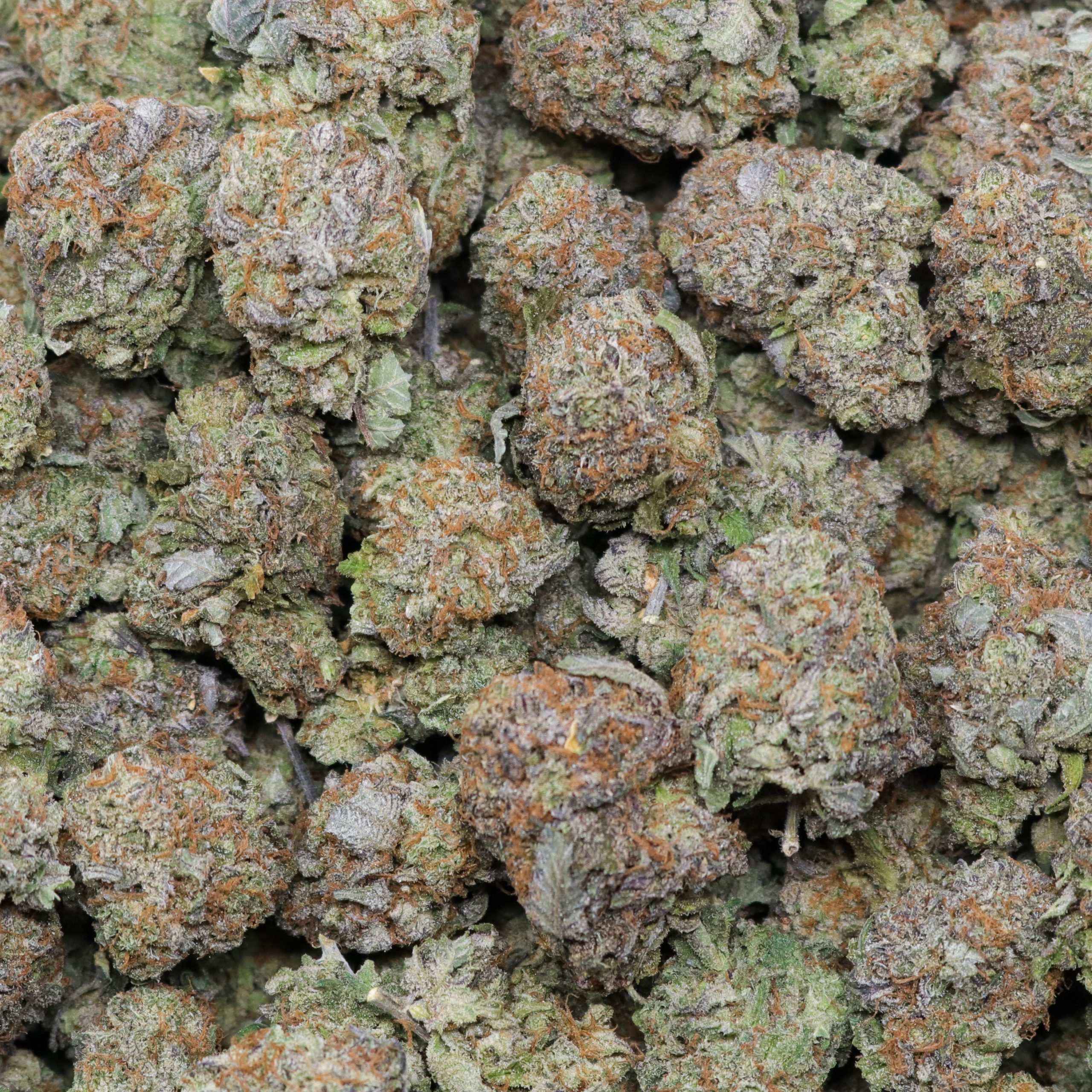 Bubba Kush - Image 2
