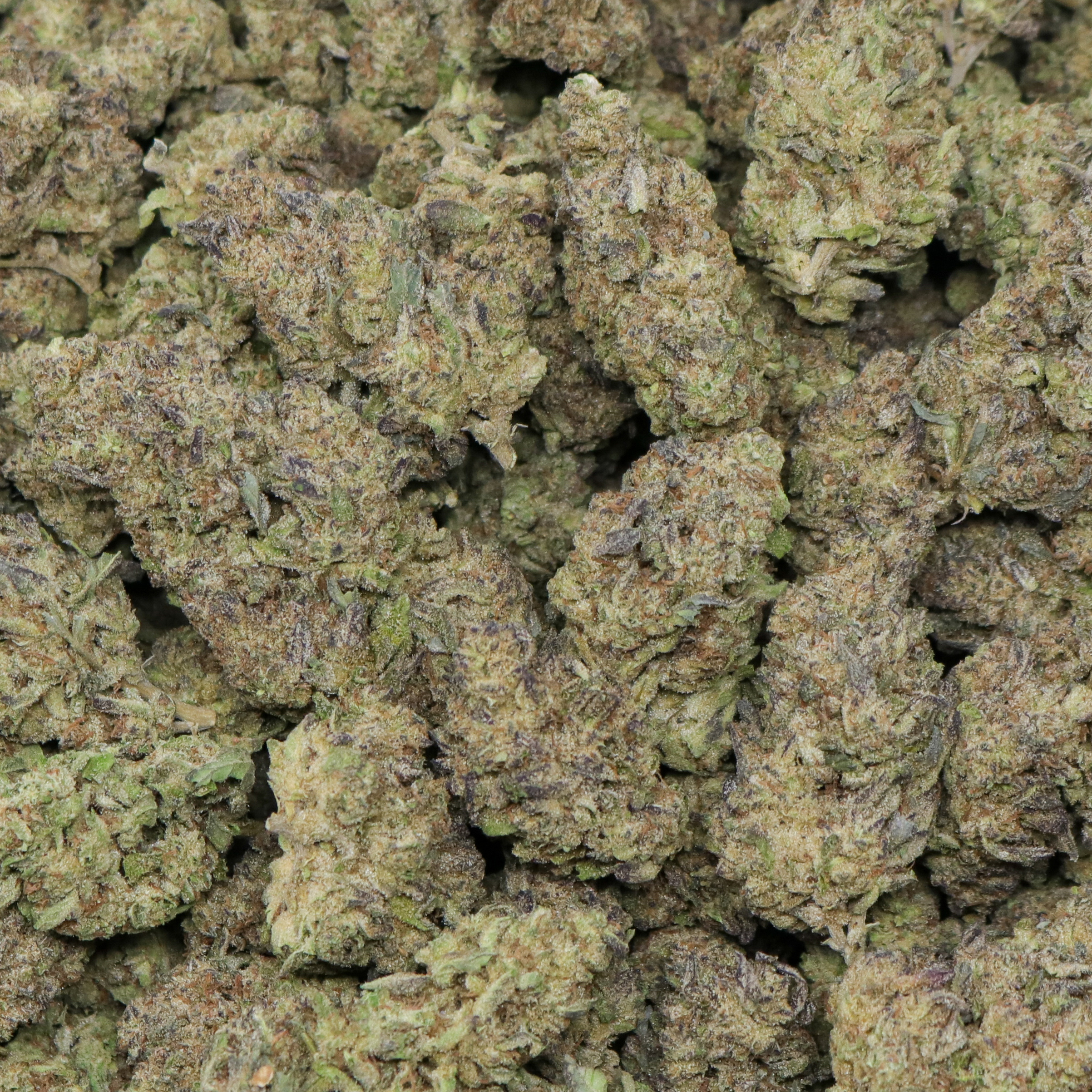 Dark Matter - Image 2