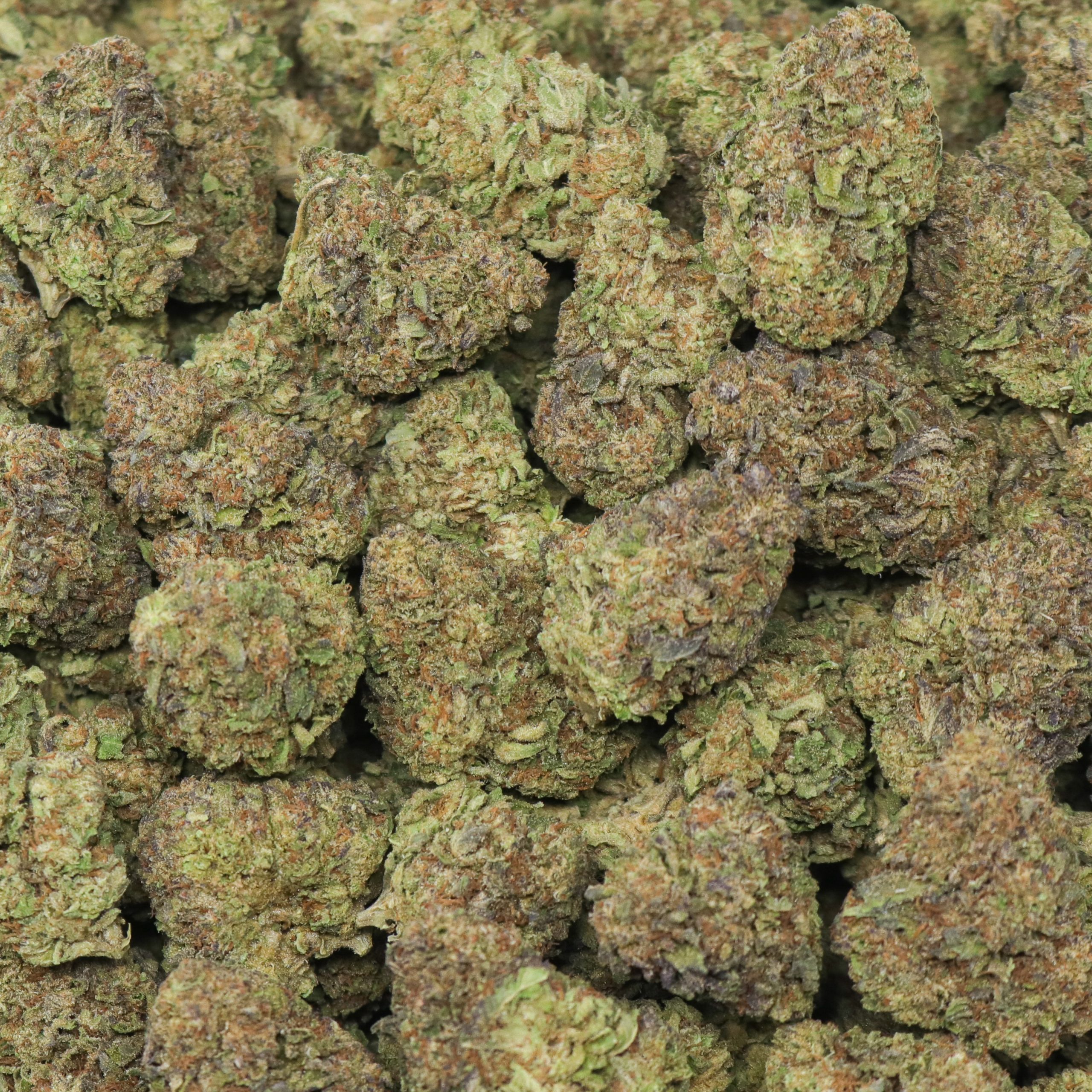 Ice Cream Cake - Image 2