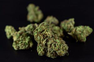 Best Sativa Strains for Energy 