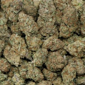 Alternative view of Purple Punch