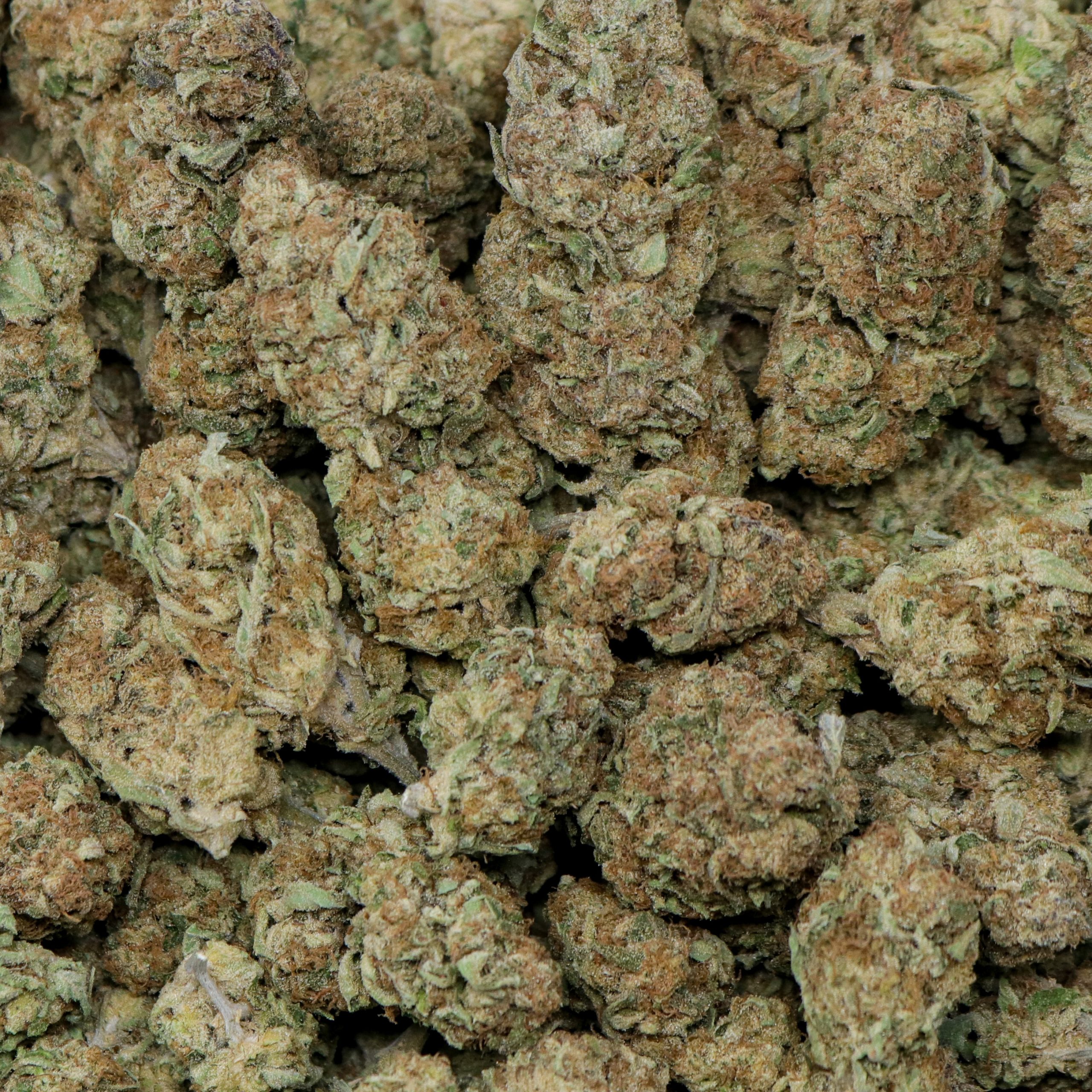Purple Punch - Image 2
