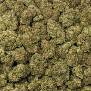 Alternative view of Presidential Runtz