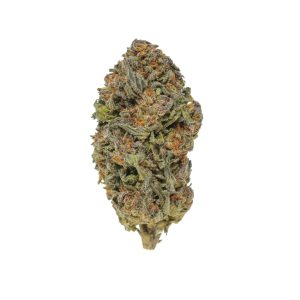 Purple Gushers (Gush)