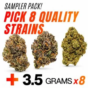 Quality Sampler Pack (3.5g x 8)