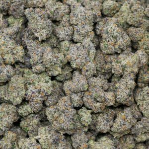 Alternative view of Bluephoria