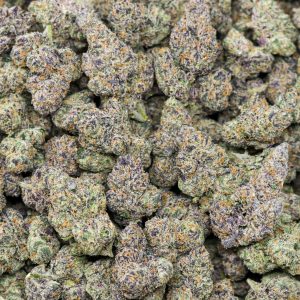 Alternative view of Bolo Runtz