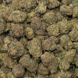 Alternative view of Candy Gelato