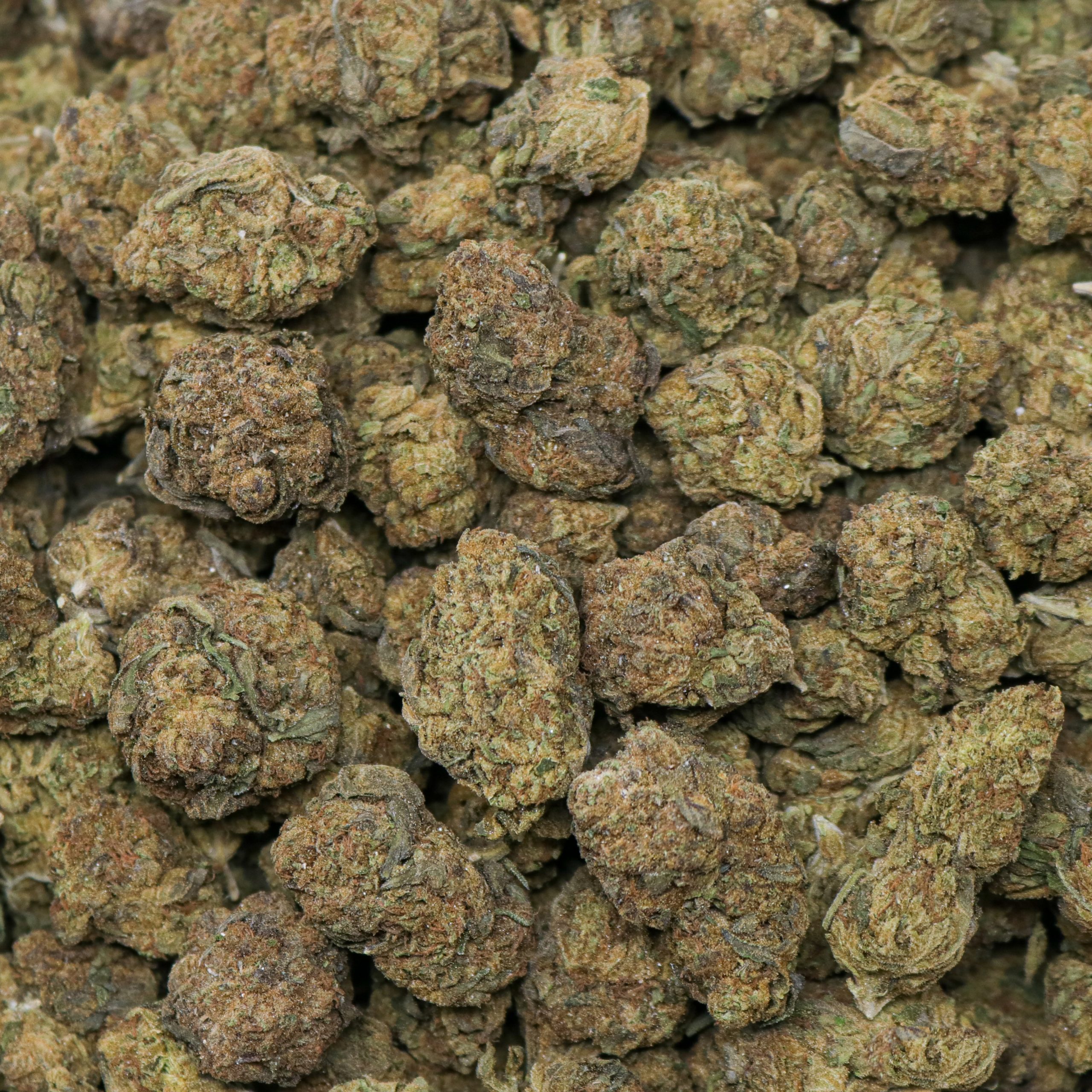 Candy Gelato - Image 2