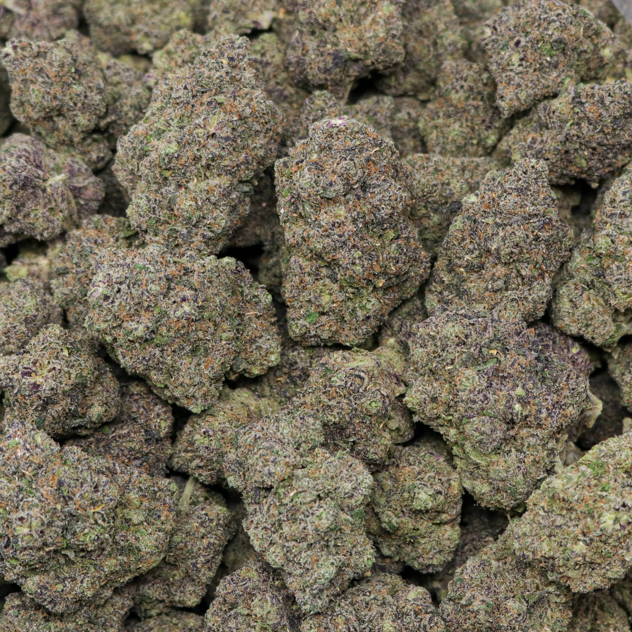 Cherry Pop Gelato - Image 2