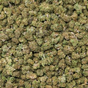 Alternative view of Citrus Spritz Smalls