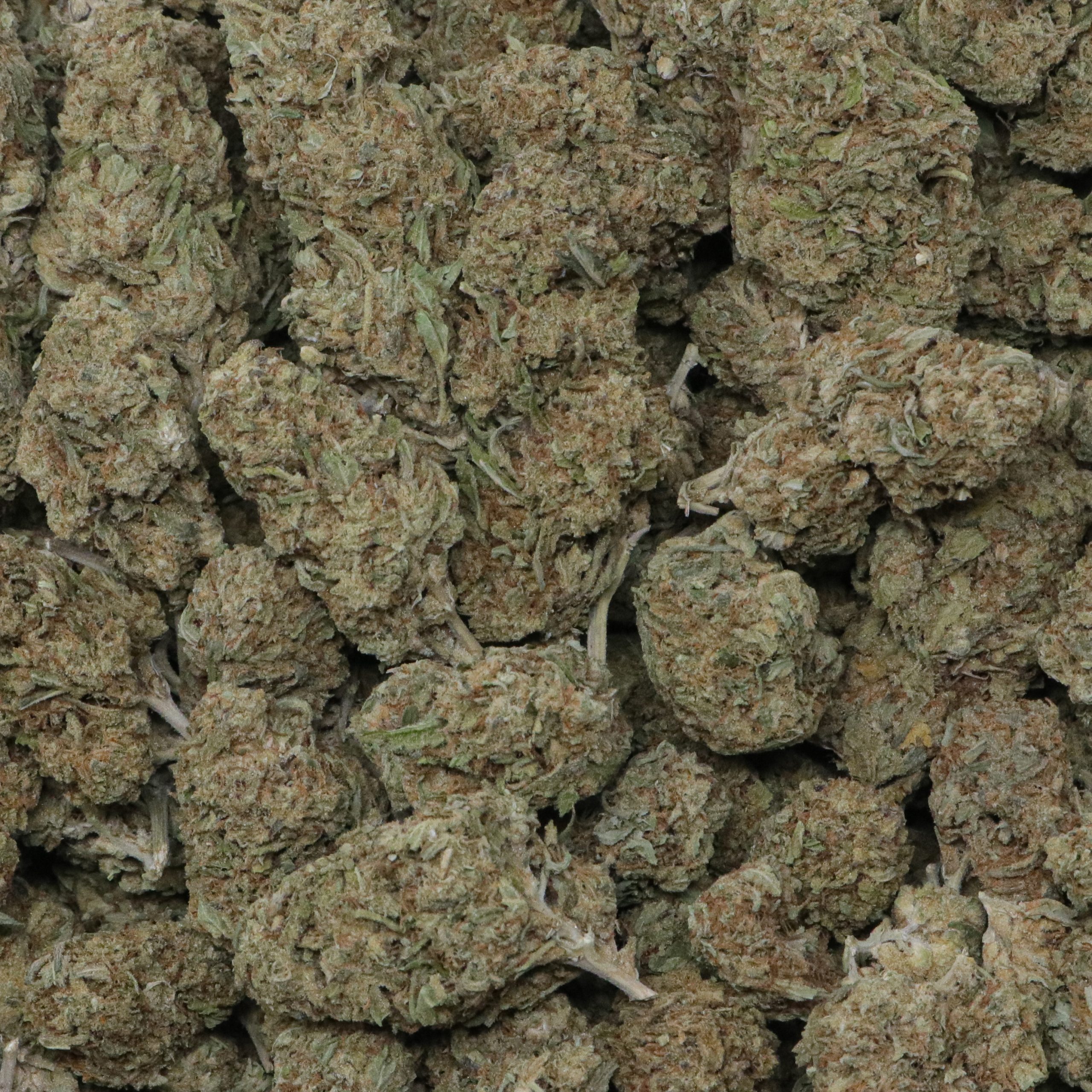 Krispy Kream - Image 2