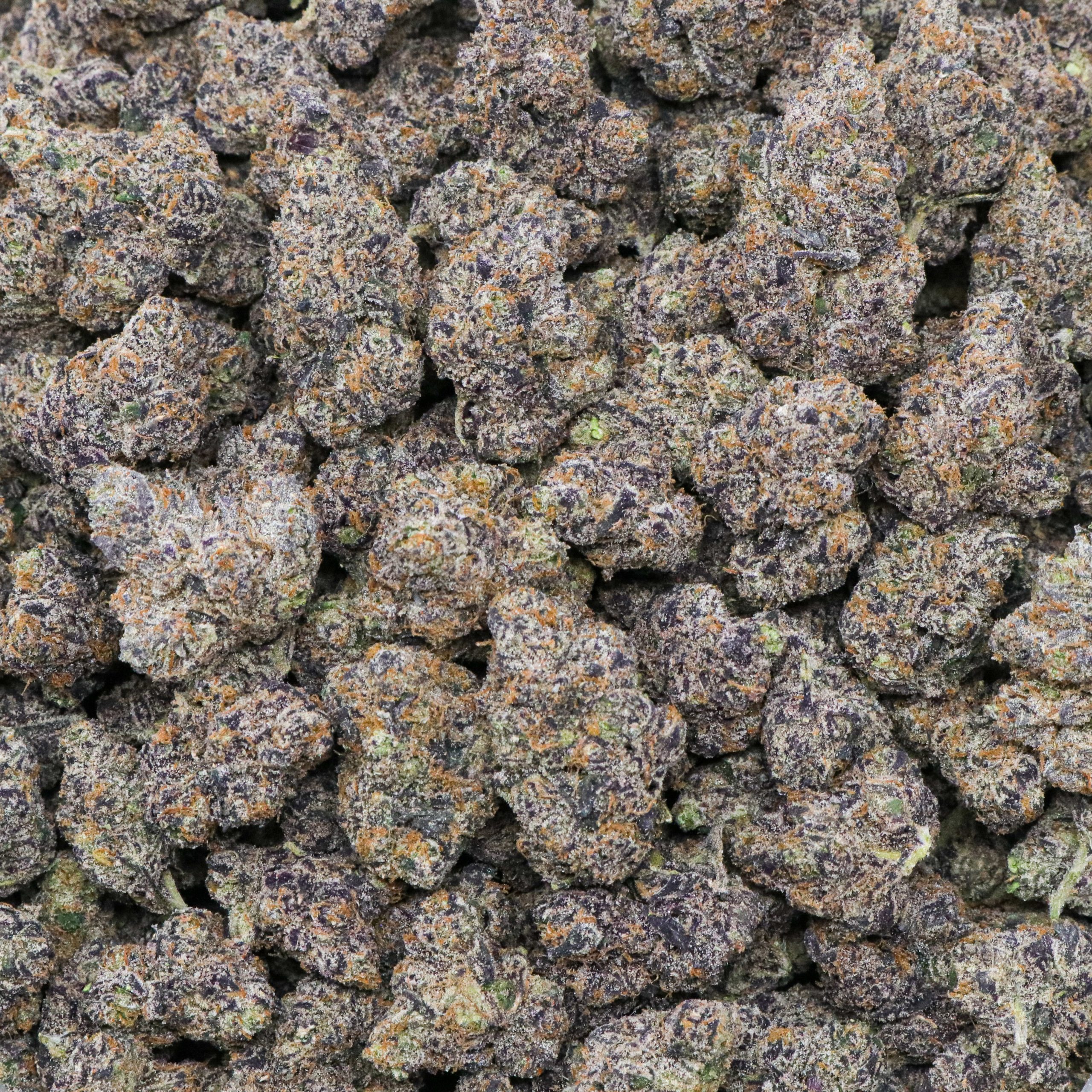 Alternative view of Exotic Blue Nerdz