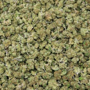 Alternative view of Fruit Punch Smalls