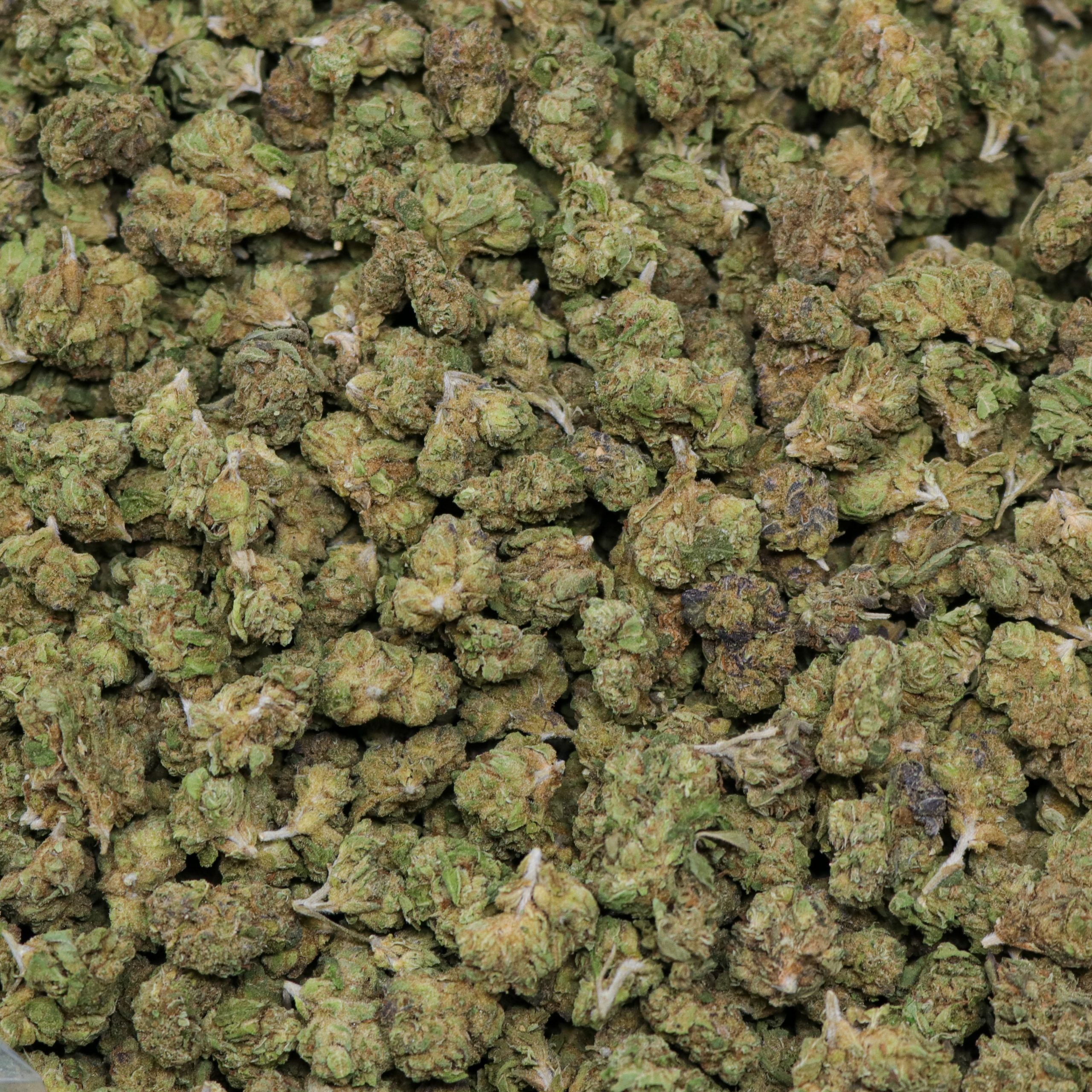 Gelato 47 Smalls - Image 2