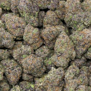 Alternative view of Gelatti