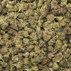 Alternative view of Gumbo Smalls