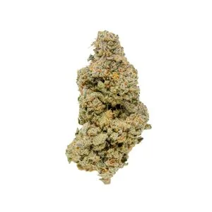 Jack Herer
