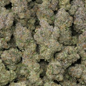 Alternative view of Nimbus Snacks