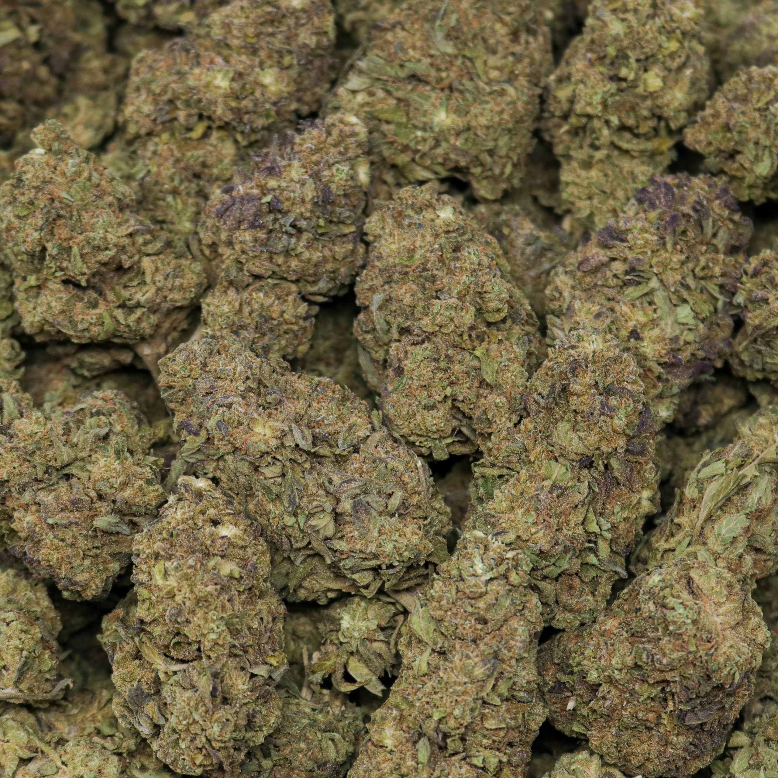 Northern Lights - Image 2