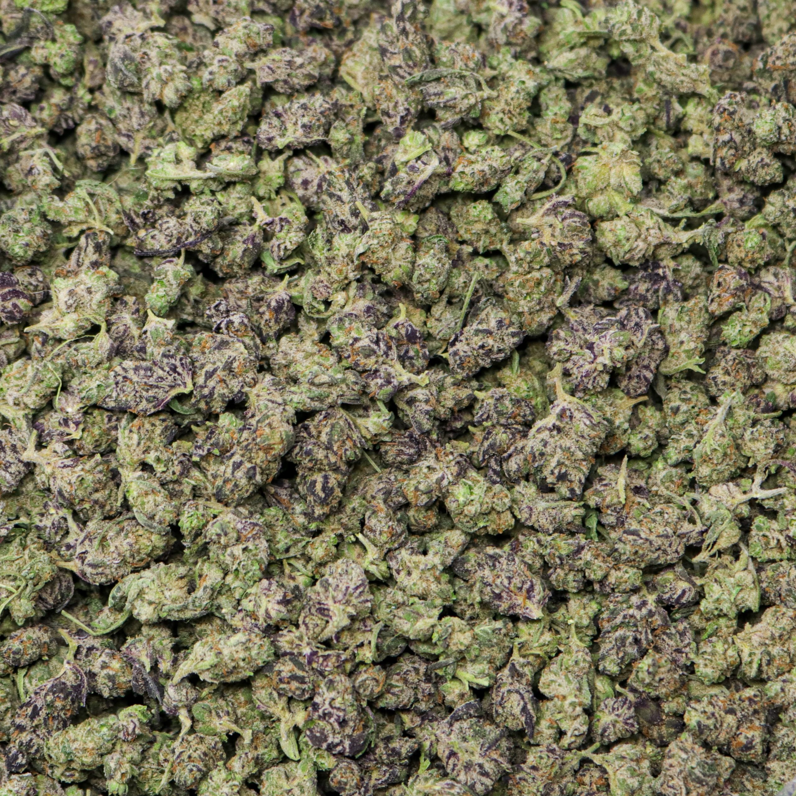 Purple Push Pop Smalls - Image 2