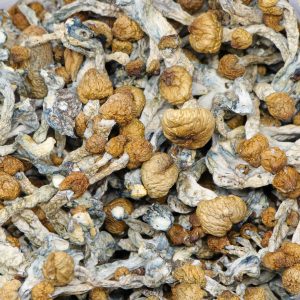 Alternative view of Steel Magnolia