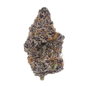 Exotic Lemon Cherry Gelato