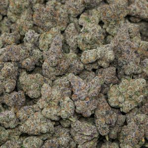 Alternative view of Blue Nerds