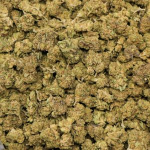 Alternative view of Candy Gas Smalls