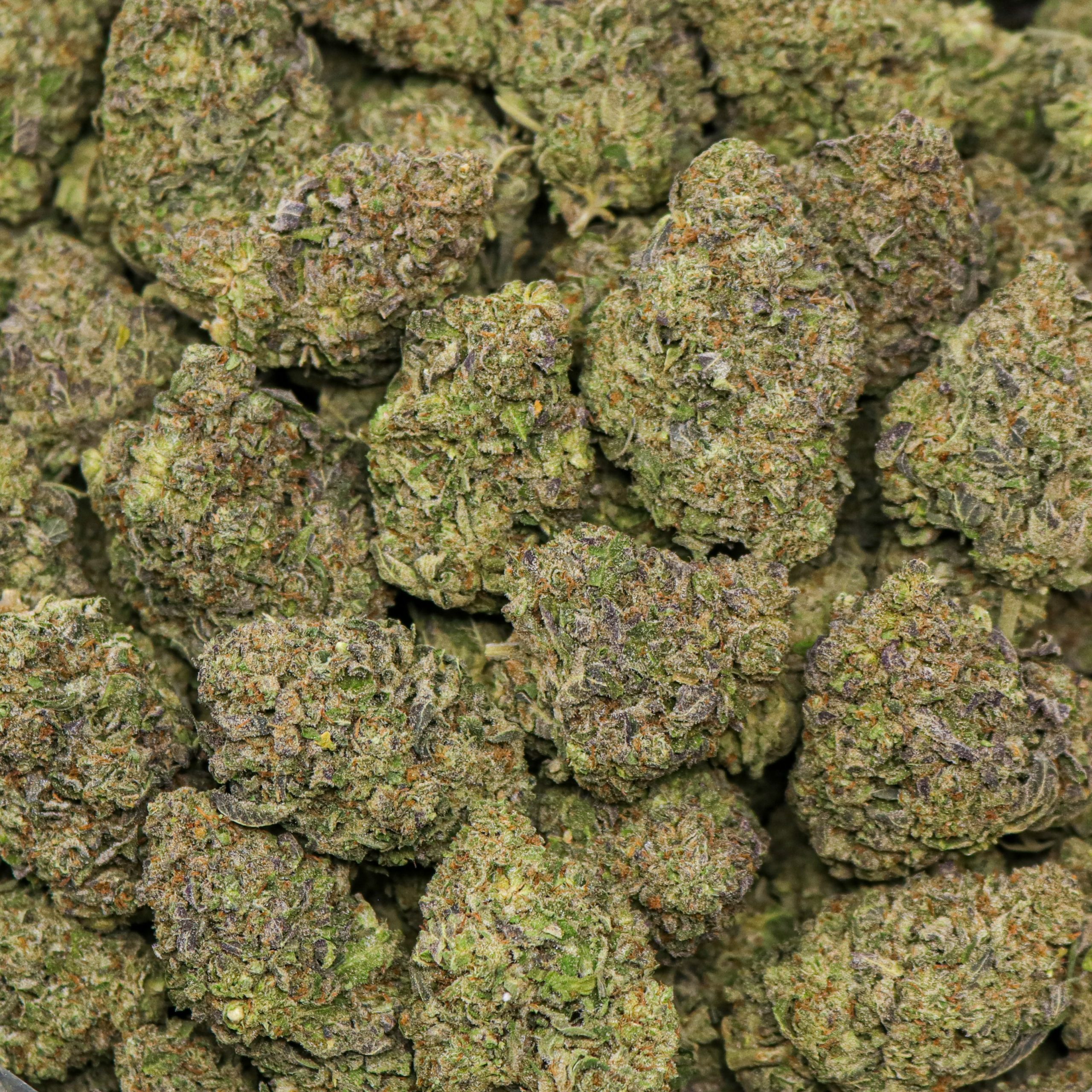 Gelato - Image 2