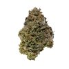 Gelato