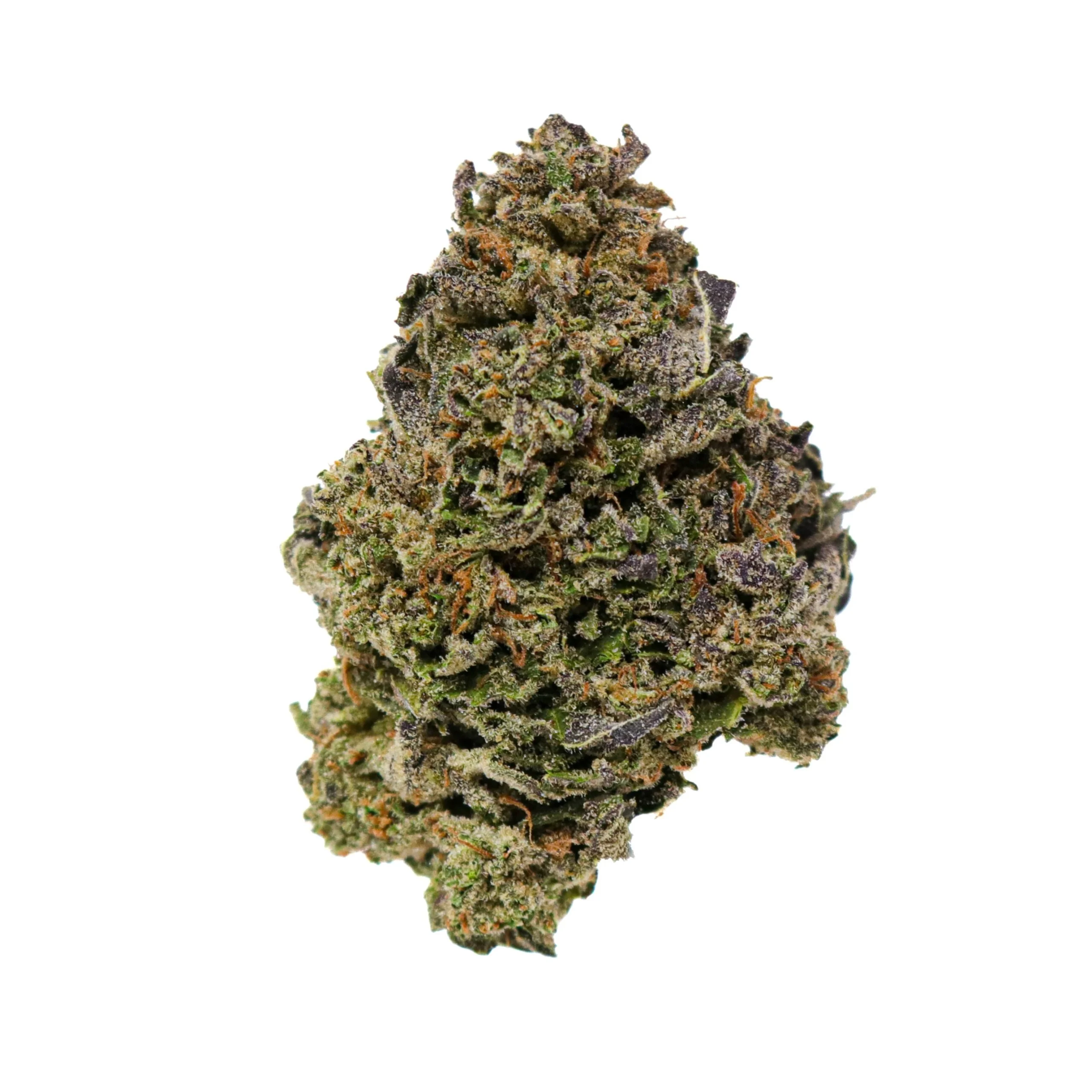 Gelato