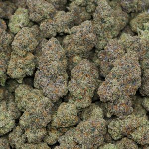 Alternative view of Pink Cherry Gushers