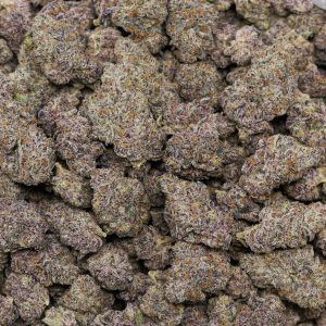 Alternative view of Purple Diesel