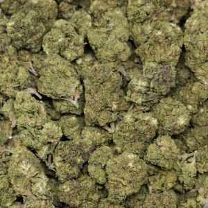 Alternative view of Rainbow Kush