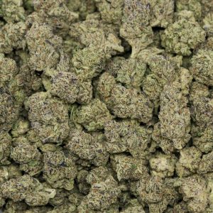 Alternative view of Royal Gas