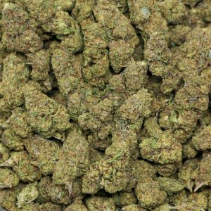 Alternative view of White Widow