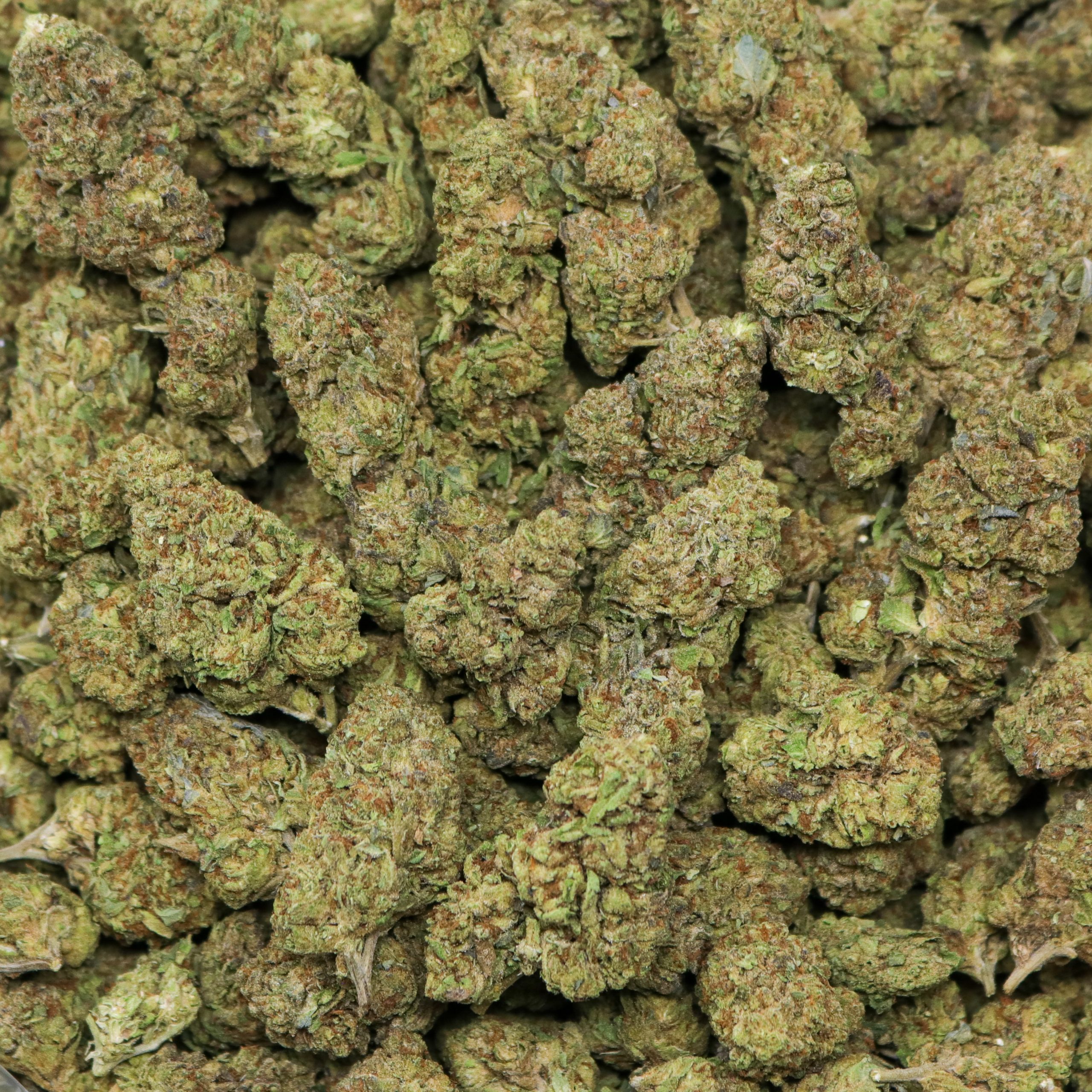 White Widow - Image 2